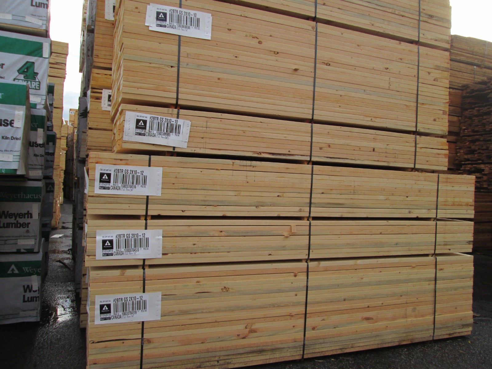 Guatemala Teak 4